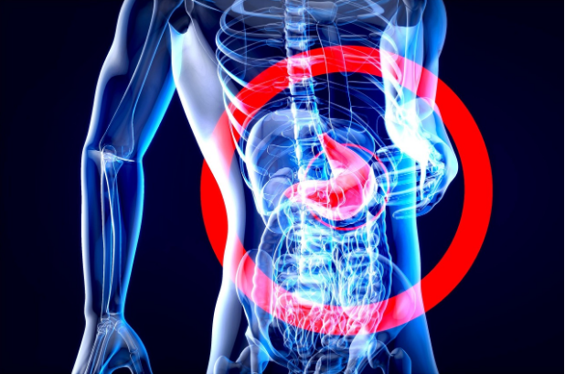 microbiota intestinal